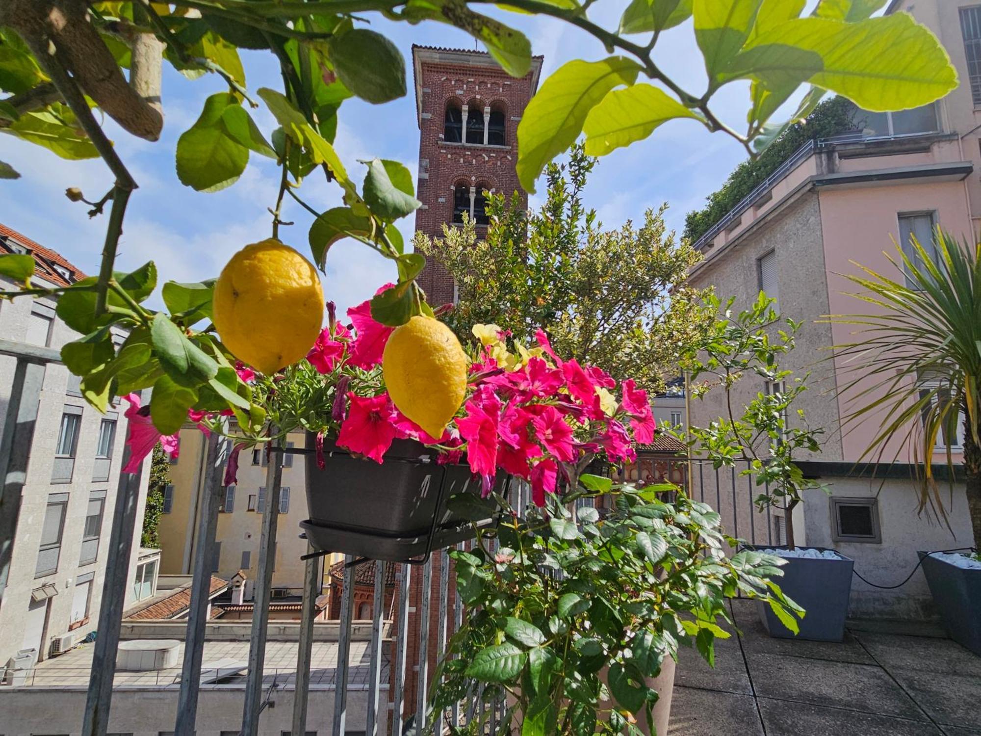 Exclusive Top Floor 2-bedroom Flat Milano